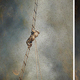 Illustration for article titled Stunning photos show the ancient tradition of honey hunting in Nepal
